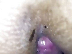 ajia