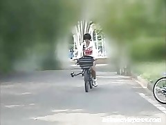 SDMS-598 - Japanese Bicycle..