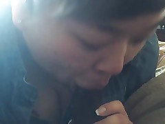 Bbw junkie